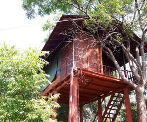 Dambulla Tree House Dambulla Sri Lanka