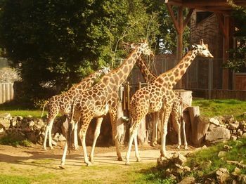 صورة الفندق 10