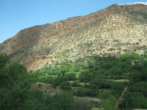 صورة الفندق 17