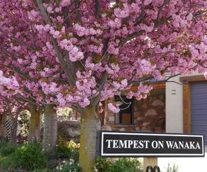 Tempest on Wanaka Wanaka New Zealand