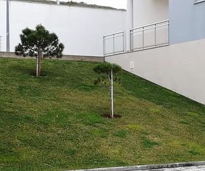 B&B O Pescador Nazare Portugal