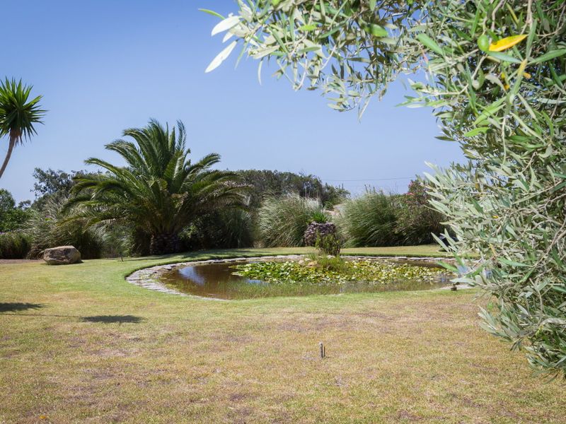 صورة الفندق 8