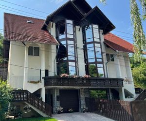 Casa Dan Sovata Romania