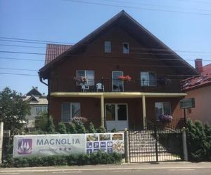 Pensiunea Magnolia Ocna Sugatag Romania