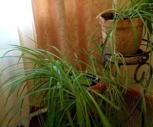 Apartment on Azina 20/2 Ekaterinburg Russia