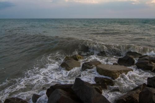 صورة الفندق 21