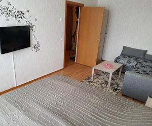 Apartment GrInn 15 on Kommunalnaya Pskov Russia