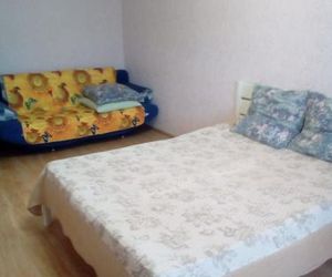 Apartment on Khimikov 15 Velikiy Novgorod Russia