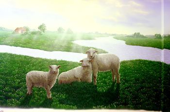 صورة الفندق 23