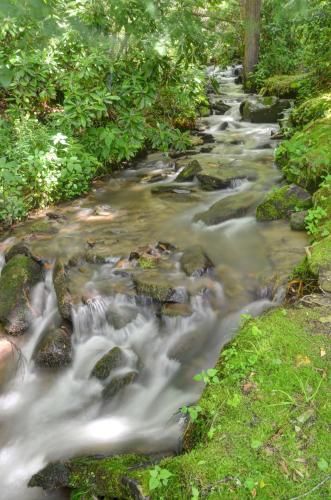 Photo of Panther Creek Cabins