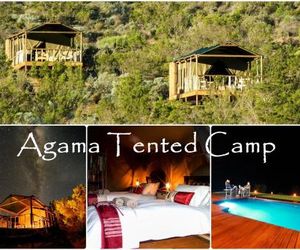 Agama Tented Camp Goop South Africa