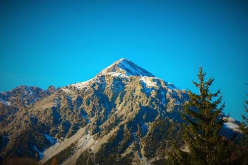صورة الفندق 21
