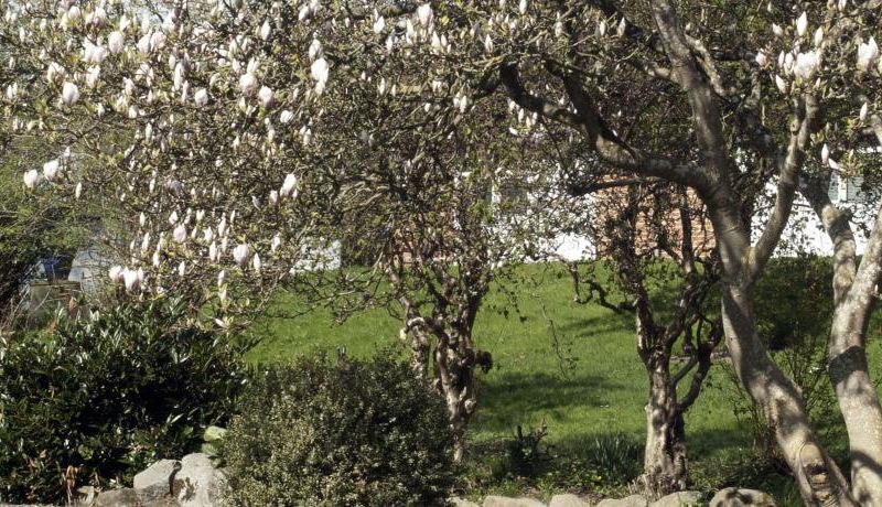 صورة الفندق 8