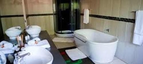 صورة الفندق 4