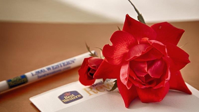 صورة الفندق 6