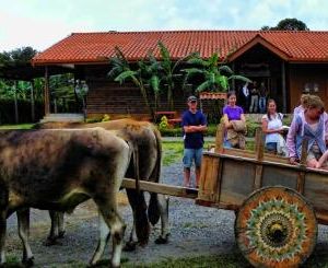 Hostel Paco House Monteverde Costa Rica