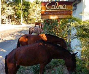 Calma Apartments Costa Rica Mal Pais Costa Rica