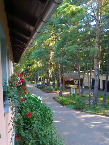 Hotel Photo 11