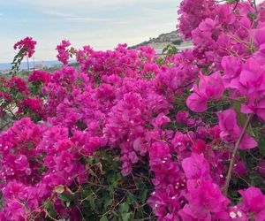 Villa Marmelada Ierapetra Greece