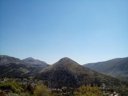 صورة الفندق 7