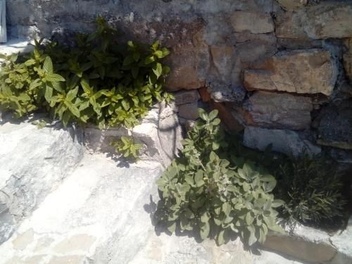 صورة الفندق 10