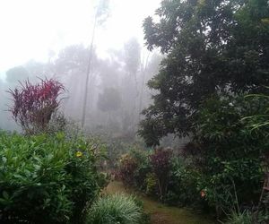Hill side estate Madikeri India