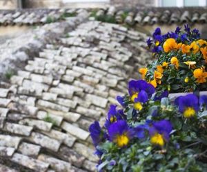 Le Violette Matera Italy