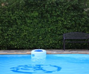 Topaas Resort And Swimmimg Pool Hat Yai Thailand
