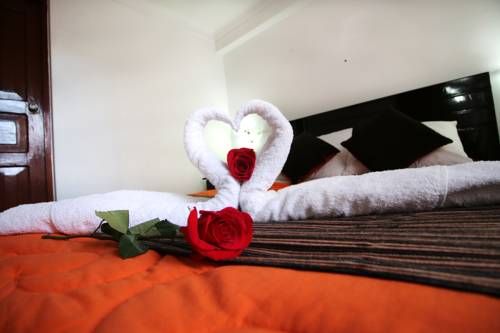 صورة الفندق 8