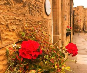 Juliet Cottage Alnwick United Kingdom