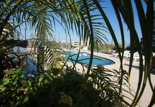 صورة الفندق 21