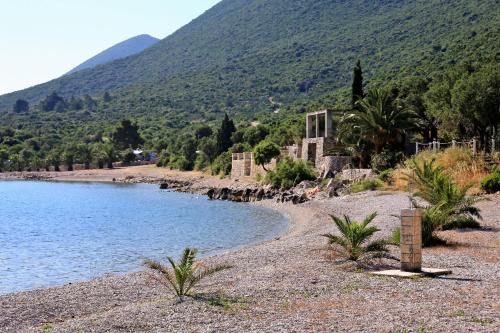 صورة الفندق 5