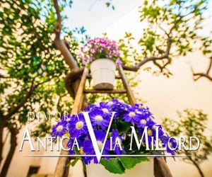 Dimora Antica Via MiLord Monopoli Italy