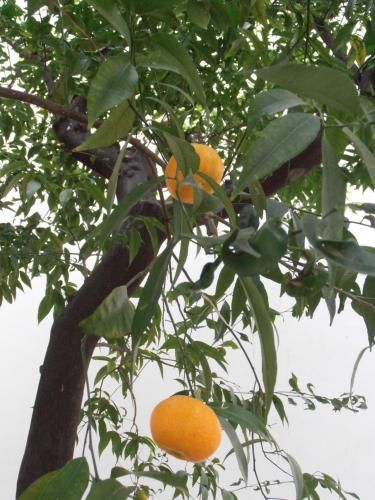 صورة الفندق 23