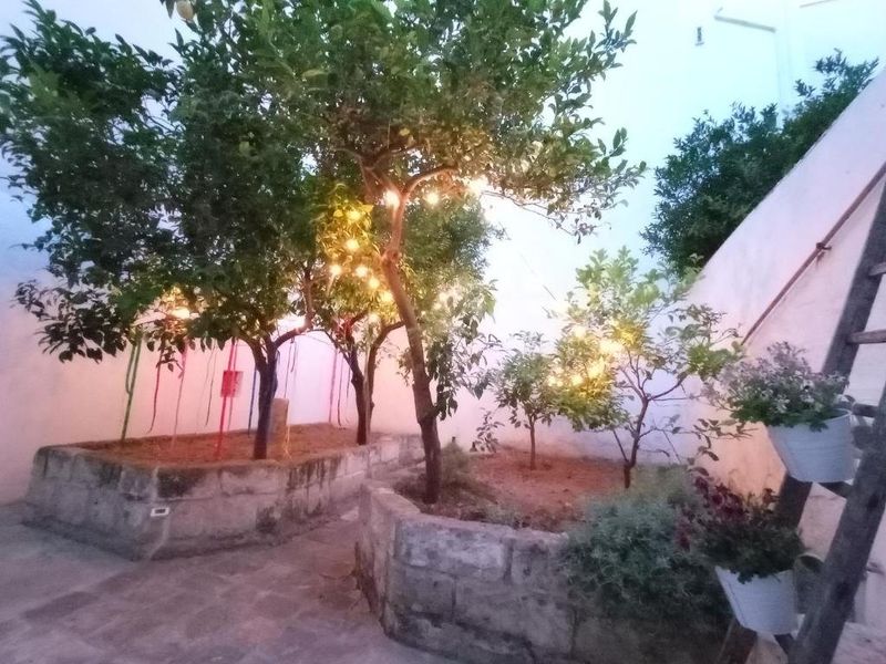 صورة الفندق 7