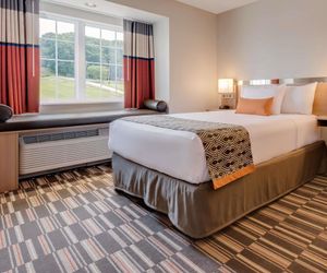 Microtel Inn & Suites by Wyndham Clarion Clarion United States