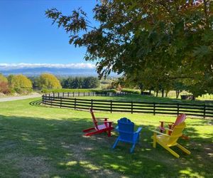 Tree Hut Cottage Masterton New Zealand