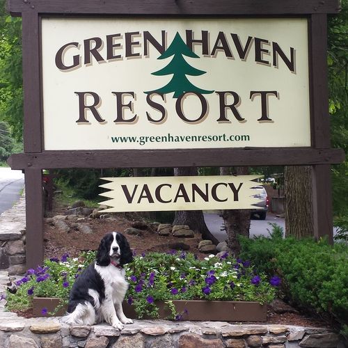 Photo of Green Haven Resort