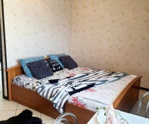 Apartments on Sotsialisticheskaya Bobruisk Belarus