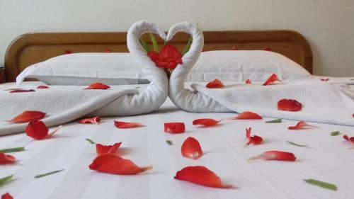 صورة الفندق 5