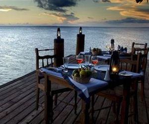 Zanzibar Dolphin View Paradise Paje Tanzania