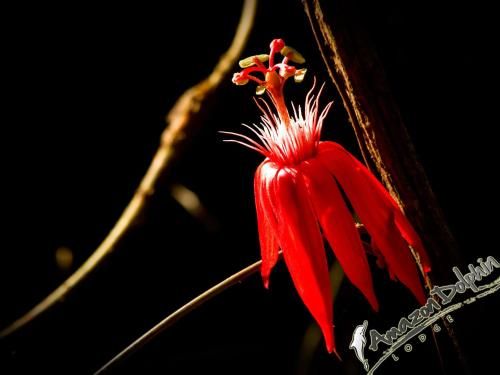 صورة الفندق 11