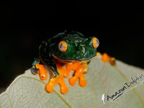 صورة الفندق 9