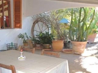 LAS PALMERAS