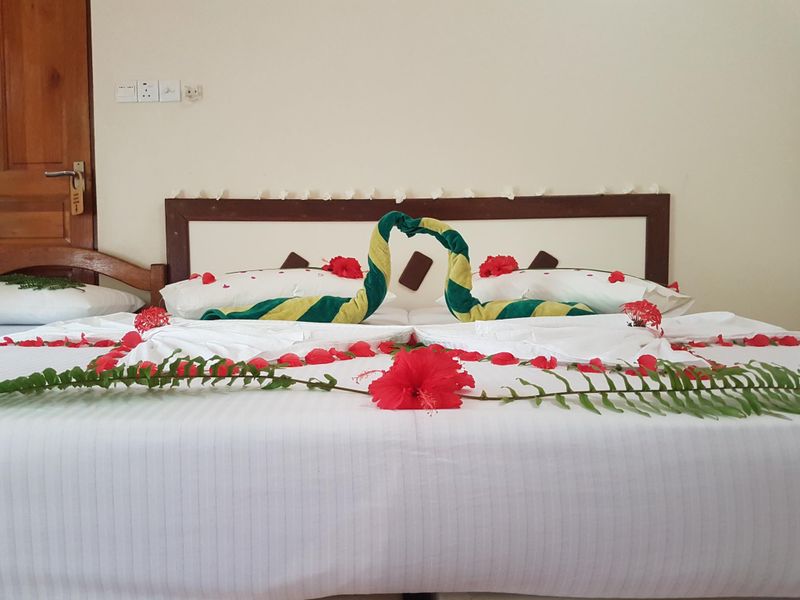 صورة الفندق 1