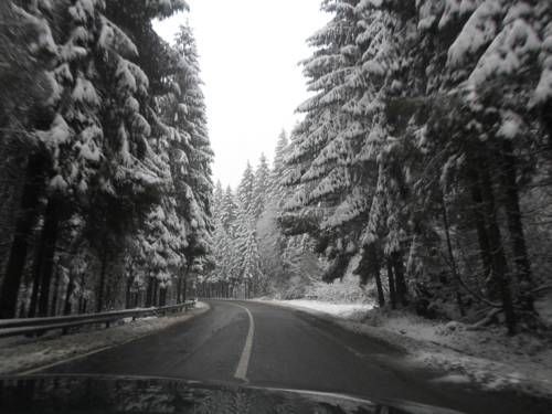 صورة الفندق 22