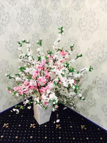 صورة الفندق 22