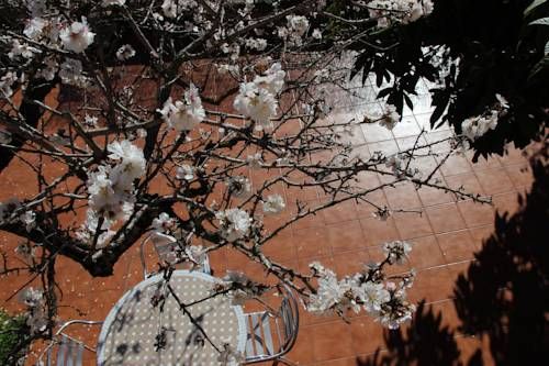 صورة الفندق 14