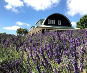 Lavender Hill Kumeu New Zealand