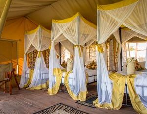 Kisura Serengeti Tented Camp Banagi Tanzania
